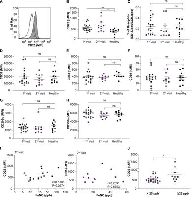 CD25 as a unique marker on human basophils in stable-mildly symptomatic allergic asthma